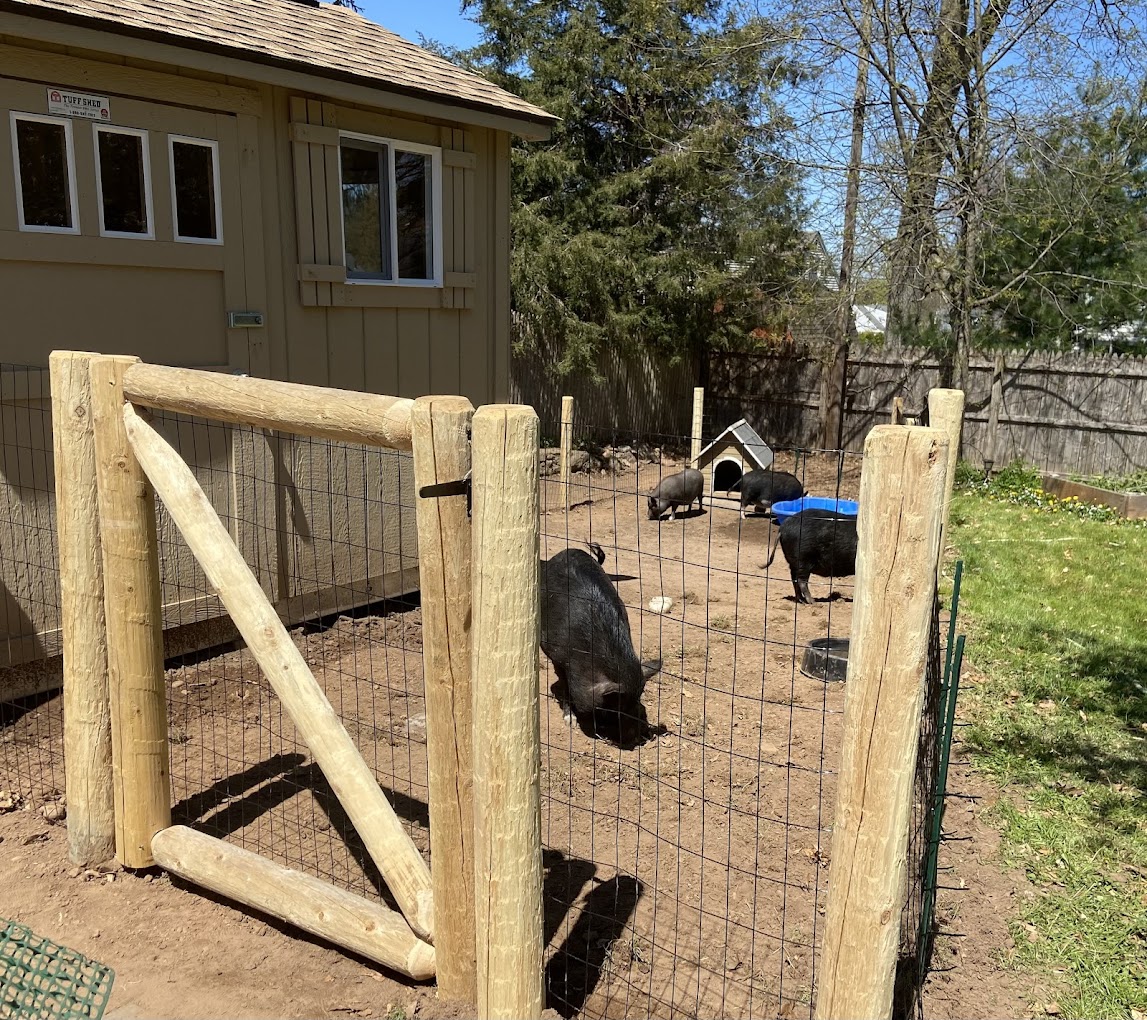 AFFORD A FENCE – Fence Installation and Repair Services Near You photo