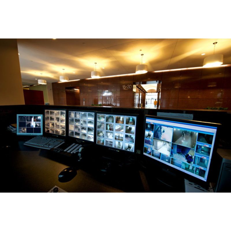 American Eagle Investigations | Trusted Private Investigators in NYC photo