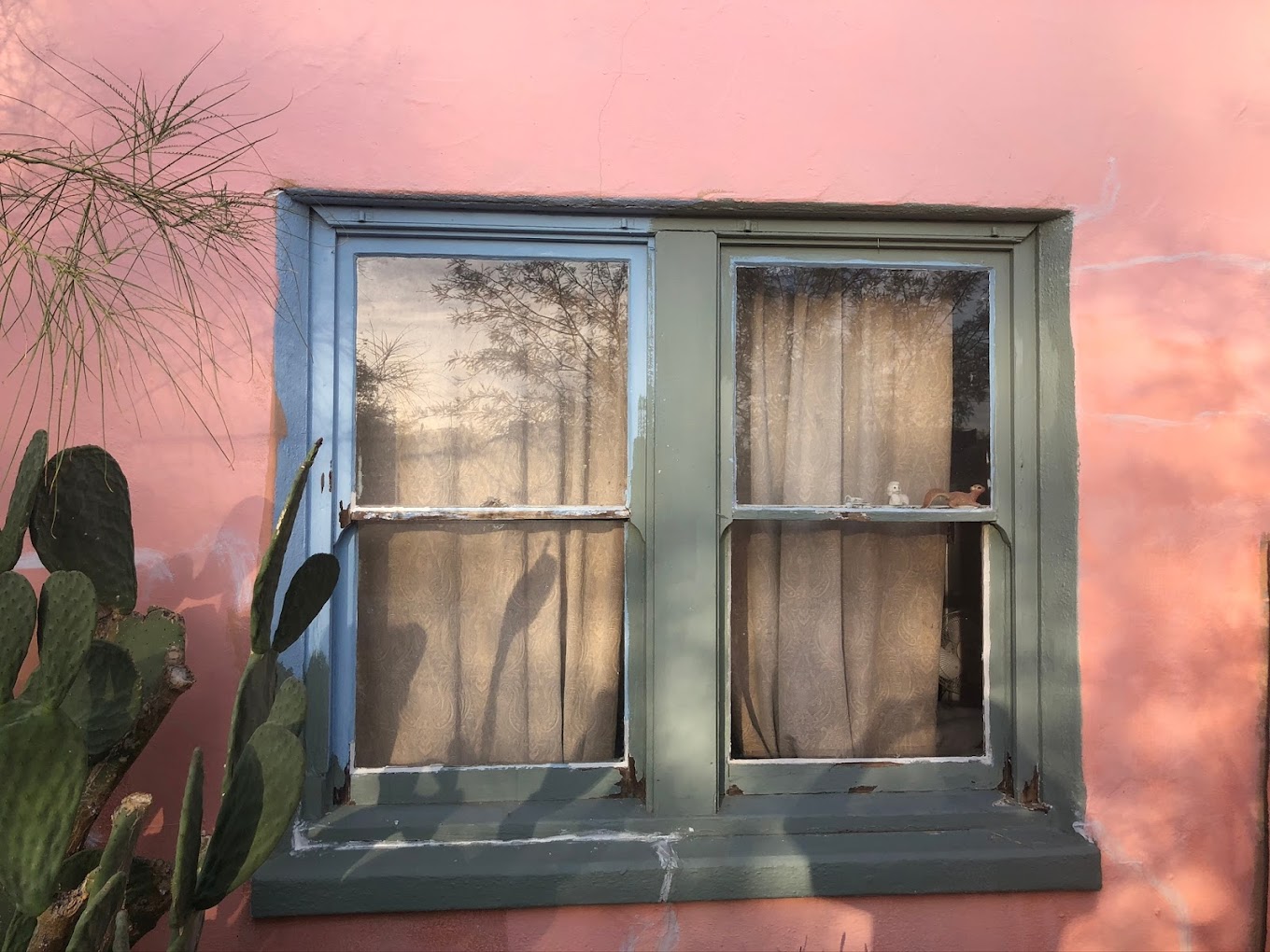 Arizona Painting Company - Trusted Residential and Commercial Painters photo
