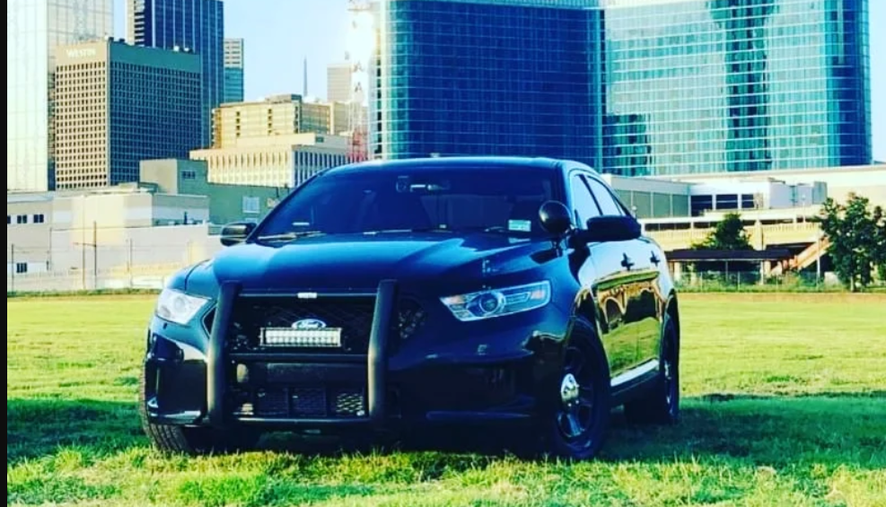 Professional Security Details LLC