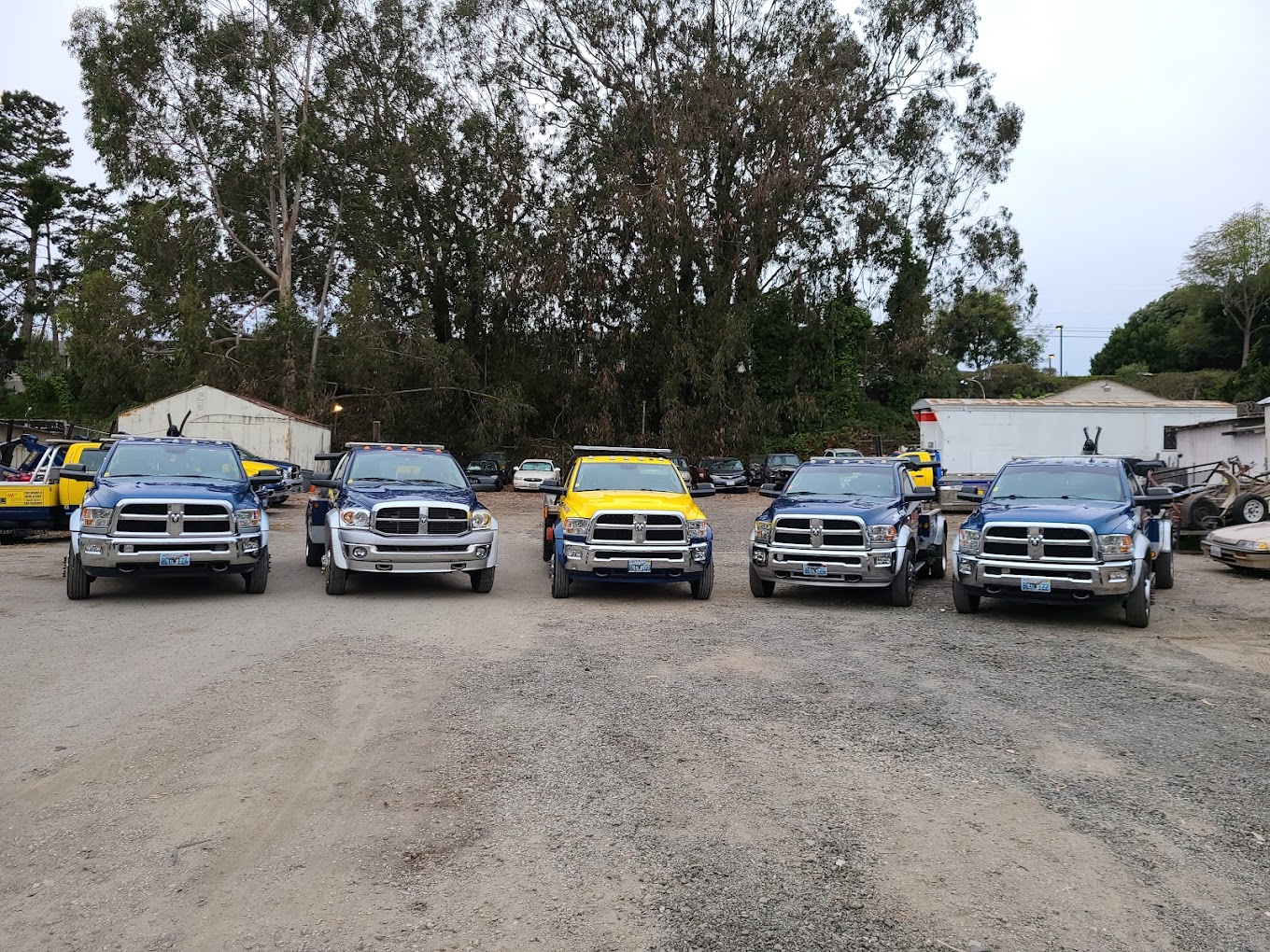 Blue Water Towing & Auto Service Inc. in San Francisco, CA photo