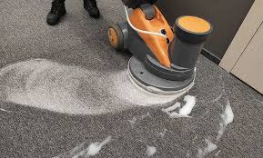 La Vista NE Carpet Cleaning & Mold Remediation