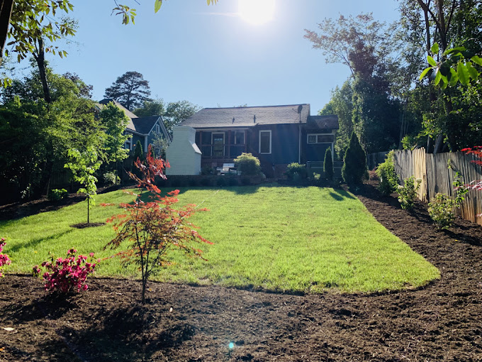 Clean Cut Landscaping photo