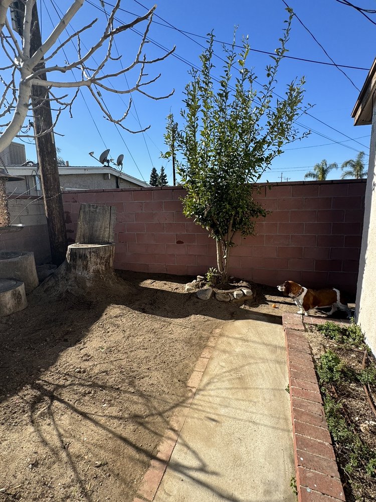 Master Masonry Concrete Construction