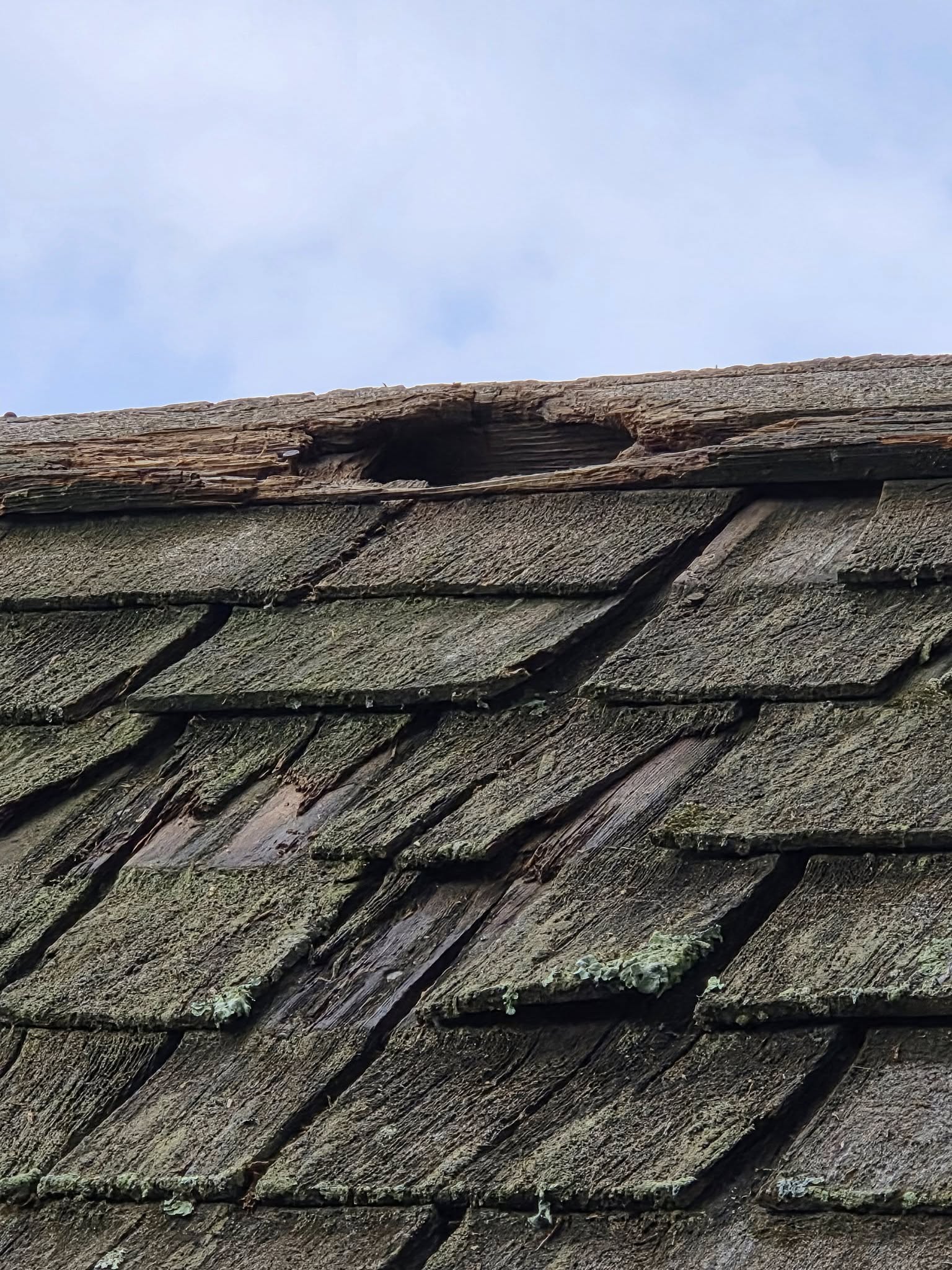 NCS Wildlife Solutions