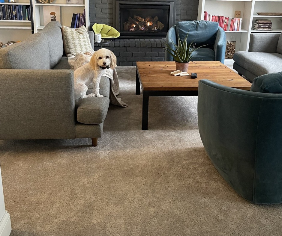 Floor Coverings International – Maple Grove, MN photo