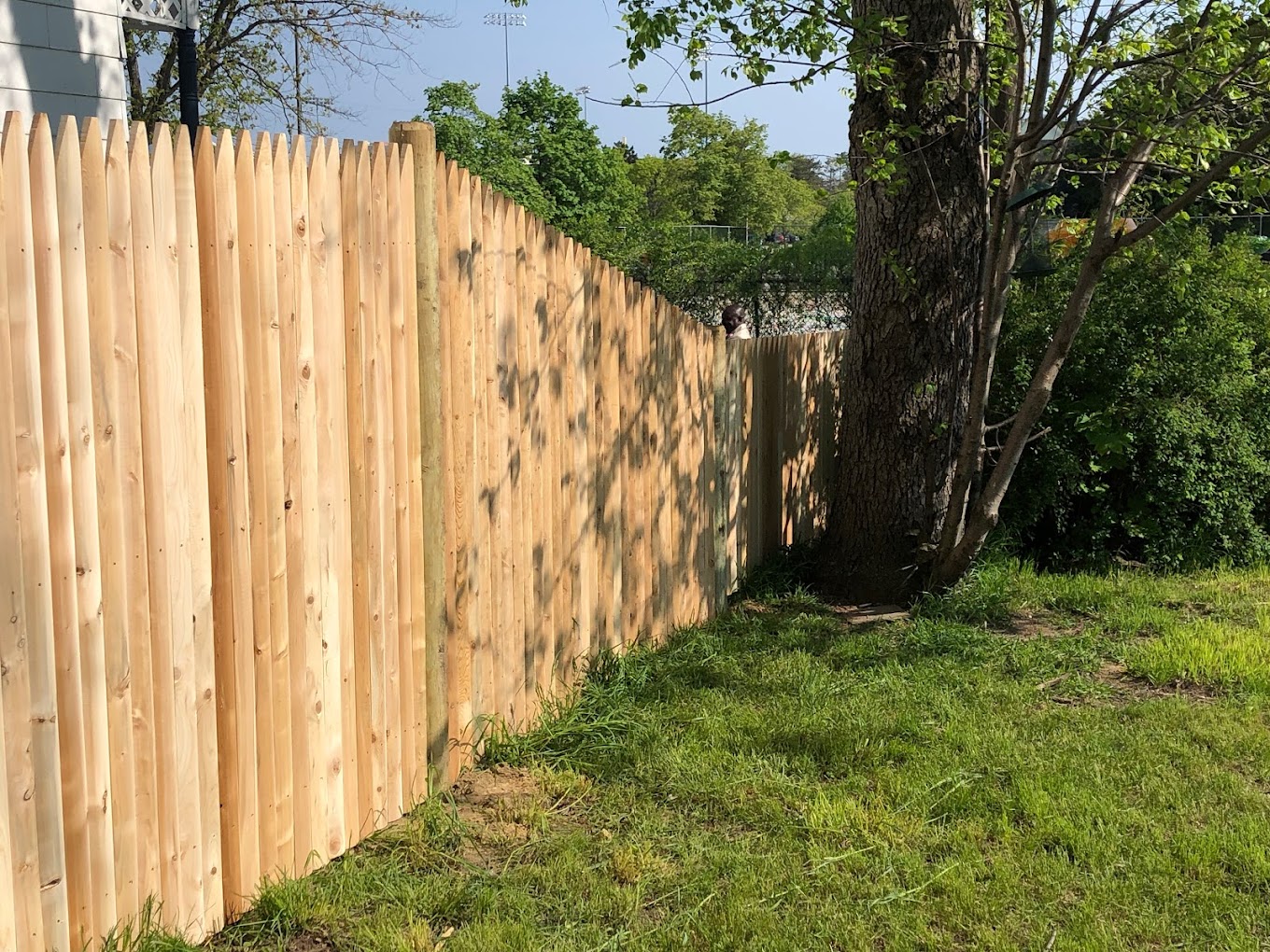 Florida State Fence photo
