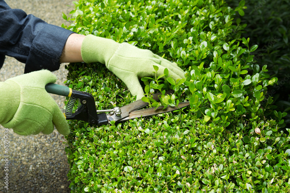 Grenstone landscaping photo