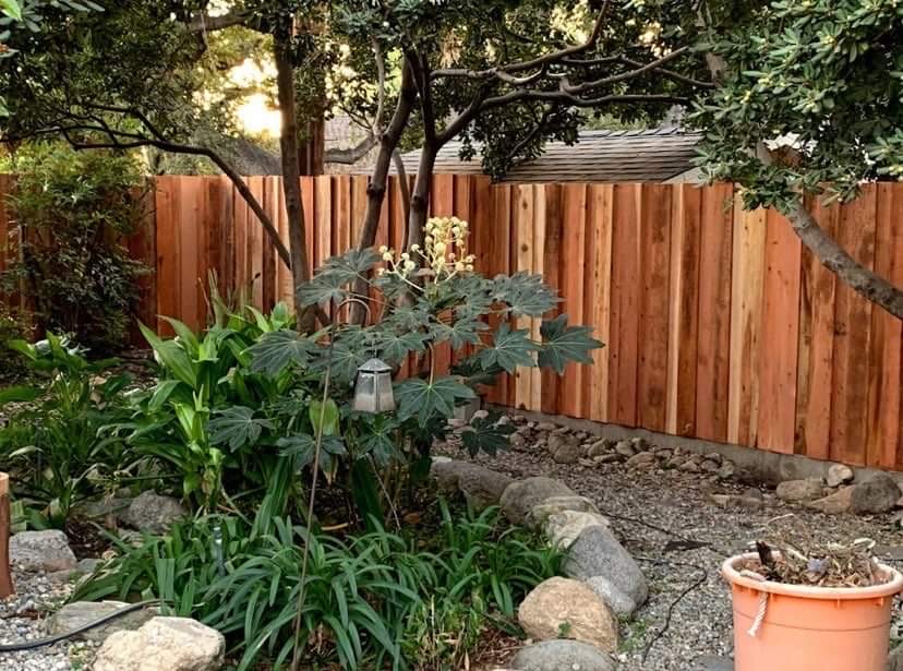 Los Angeles Fencing Co photo