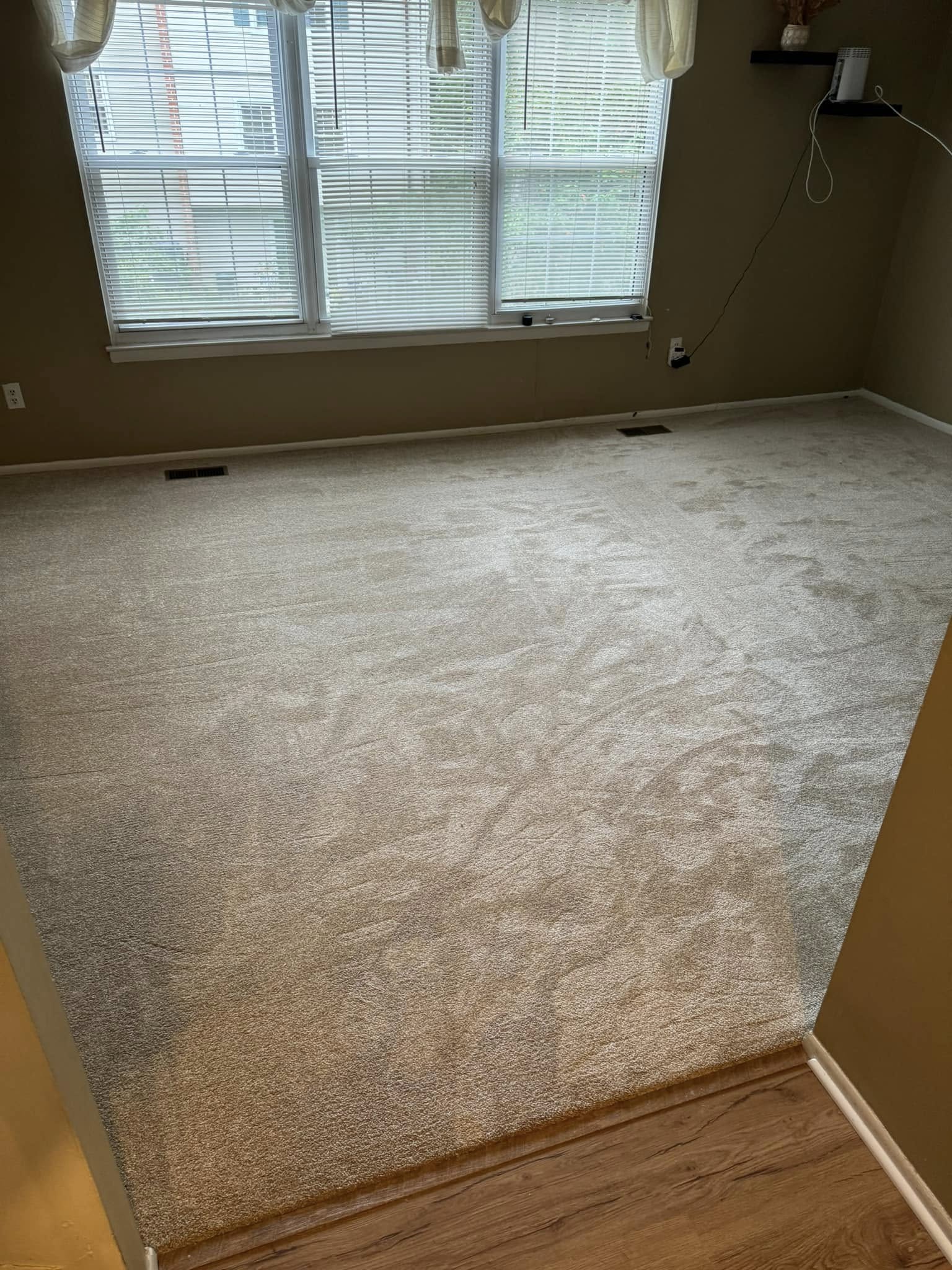 Maryland Floor Pros, LLP Essex, MD photo