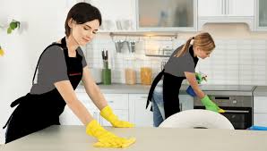 Master Maid USA photo