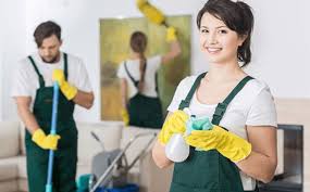 Master Maid USA photo