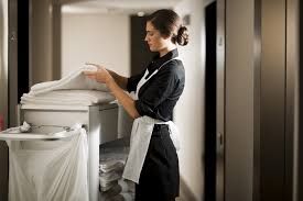 Master Maid USA in Fairfax, VA