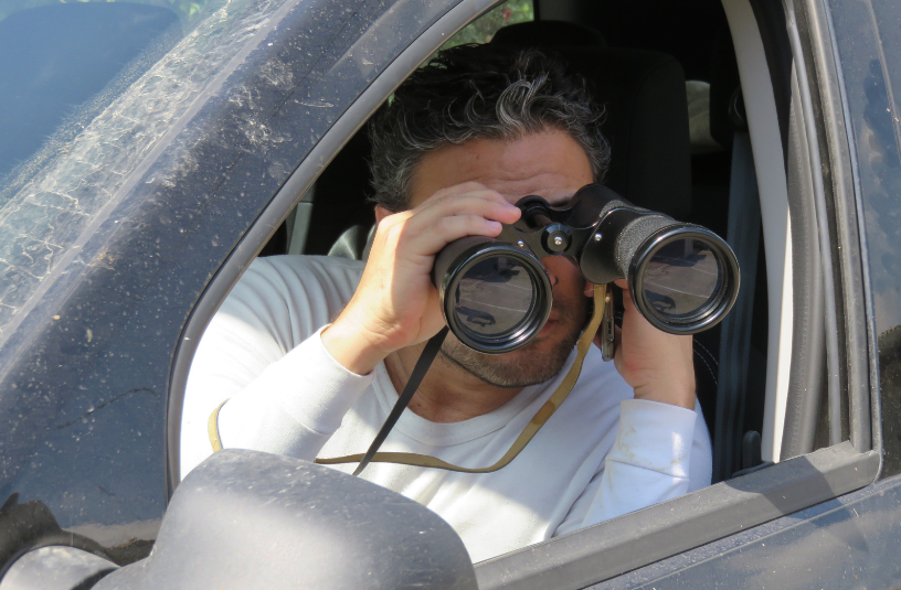 Miami Private Investigations | Coral Gables Private Investigator for Comprehensive Services photo