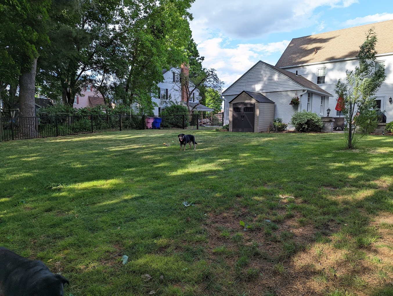 Northern Fence – Quality Fence Installation in Connecticut photo