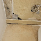 O’Bryan Plumbing Services (Allen, TX) photo