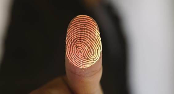 Paramount Investigative Service | Trusted Private Investigators in Los Angeles & Beyond