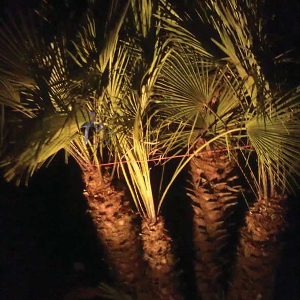 Gallery image 5 — ceiling fan installation San Antonio