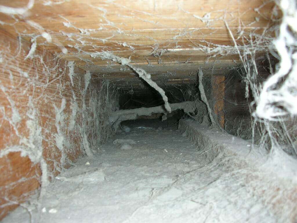 Gallery image 6 — chimney cleaning near me