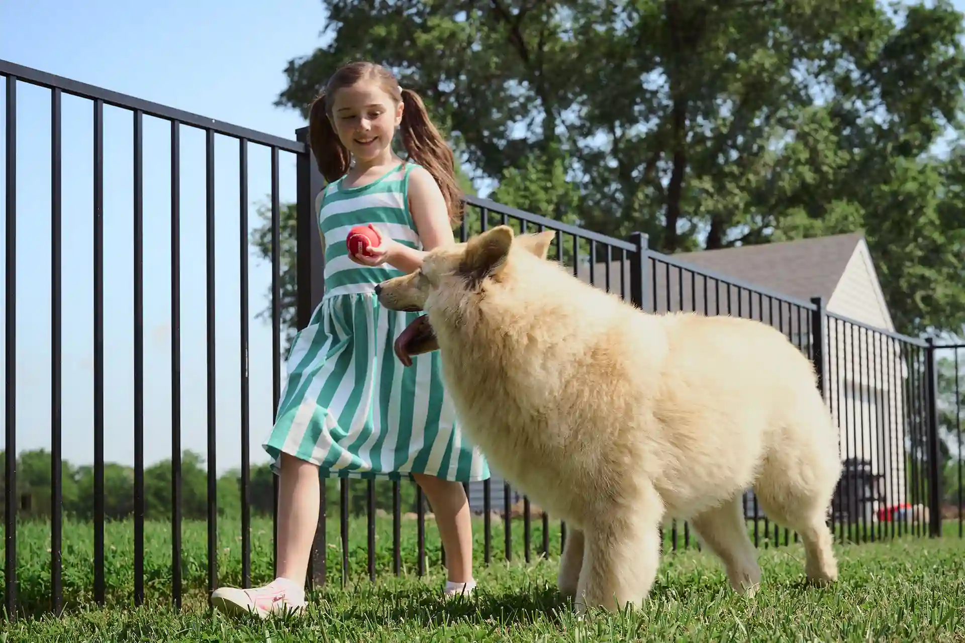 About wood fencing near me