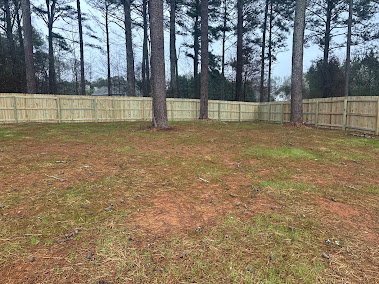 chain link fence Roswell