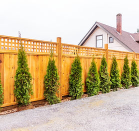 About chain link fence Roswell