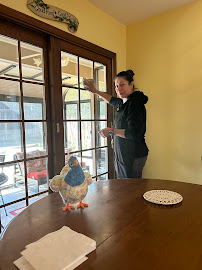 About move out cleaning Campbell