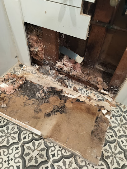 Gallery image 1 — mold testing in Pure Maintenance Arizona: Mold Testing & Mold Removal Specialists