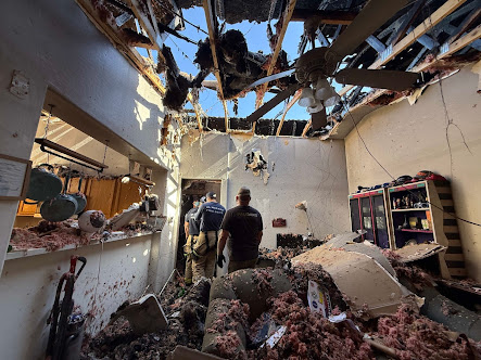Gallery image 5 — mold remediation Greater Phoenix