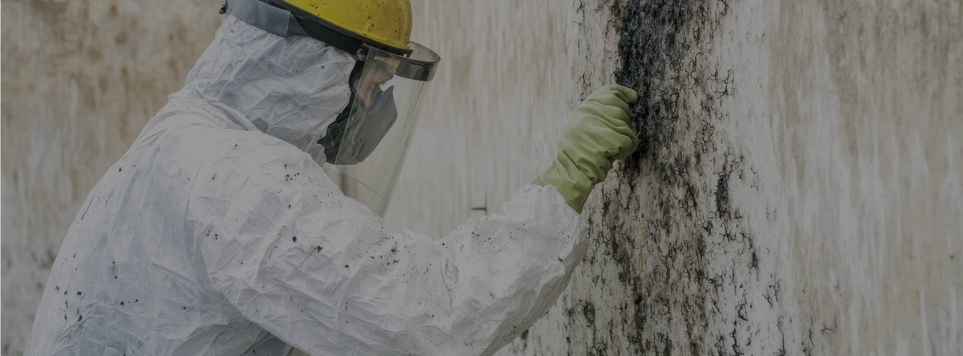 Gallery image 4 — disinfection services Mesa