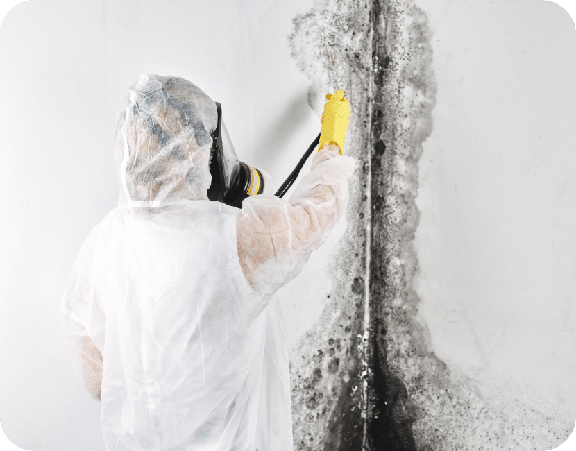Gallery image 8 — disinfection services Mesa