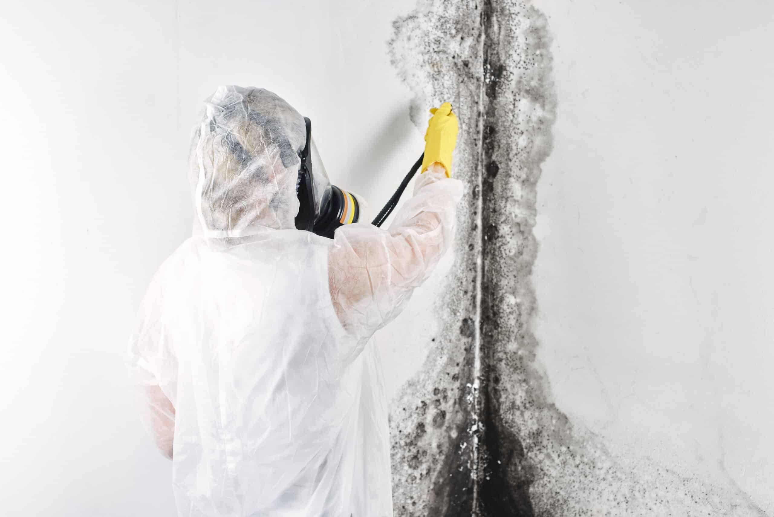 Gallery image 1 — disinfection services Mesa