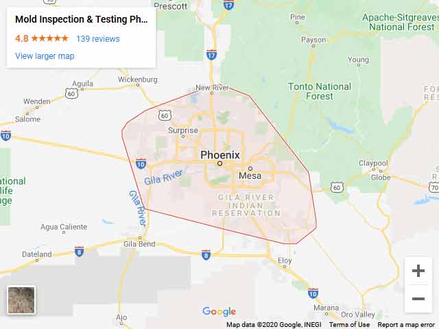 certified mold inspector Flagstaff