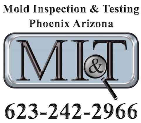 Gallery image 4 — certified mold inspector Flagstaff