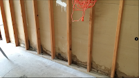 Gallery image 4 — mold remediation Phoenix