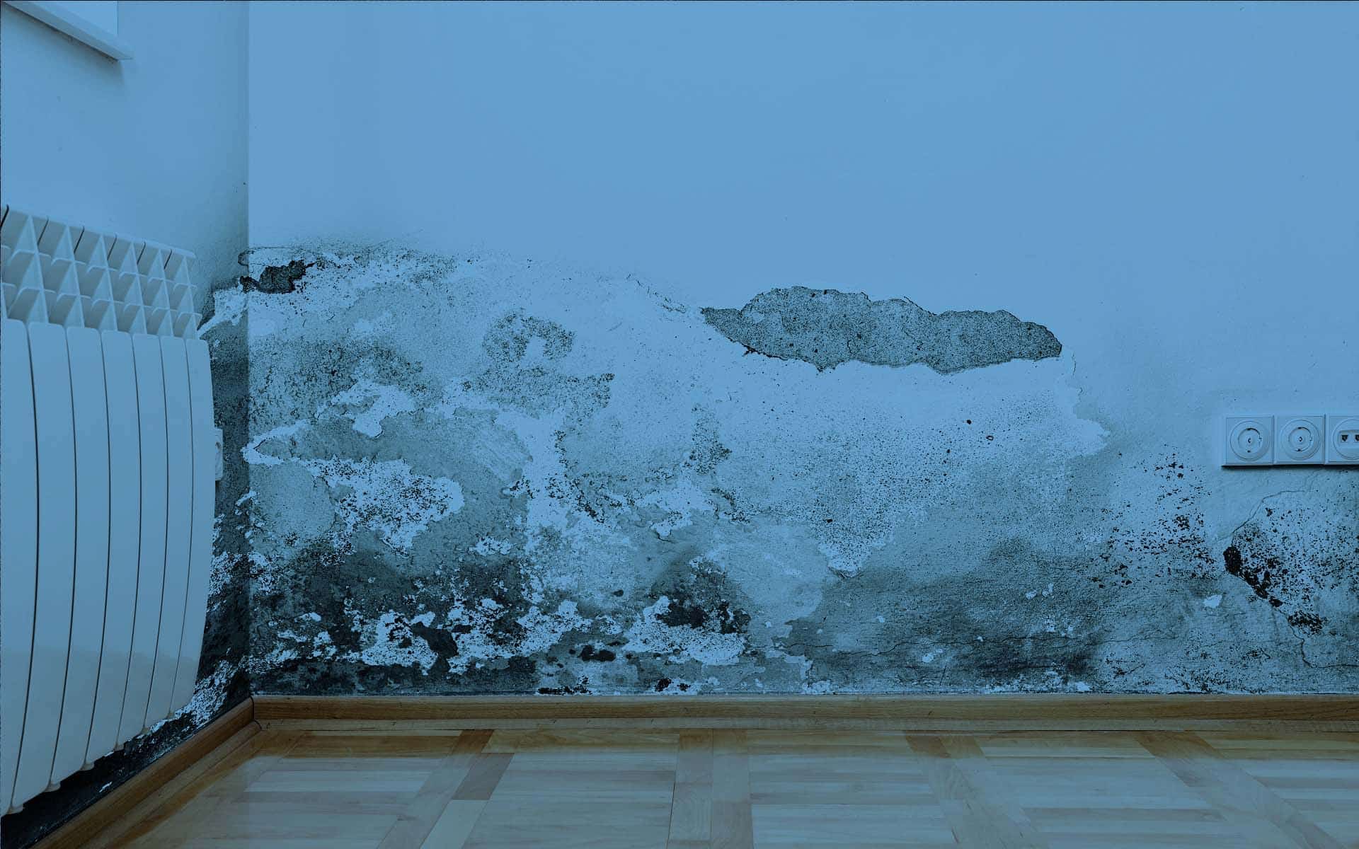 emergency water damage Gilbert