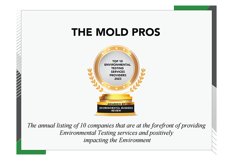 Gallery image 6 — commercial mold remediation The Mold Pros of Arizona
