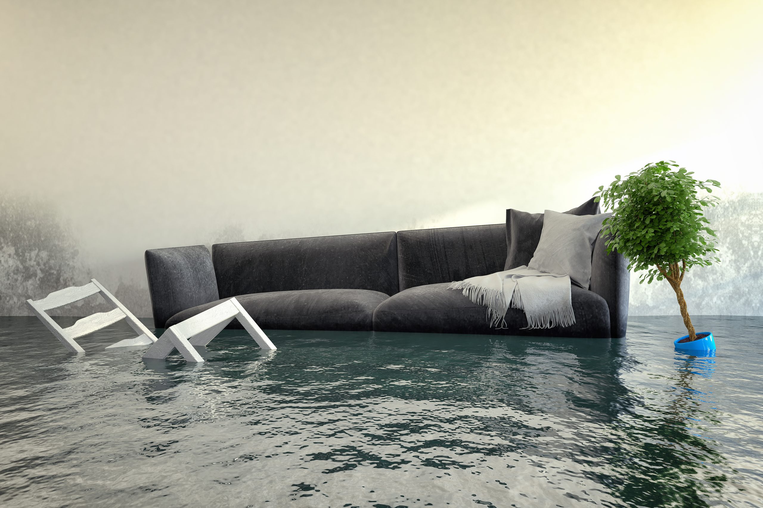 affordable water damage service Metropolitan Phoenix