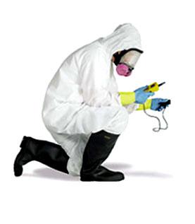Gallery image 5 — emergency mold removal 85016