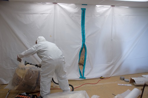 About emergency mold removal 85016