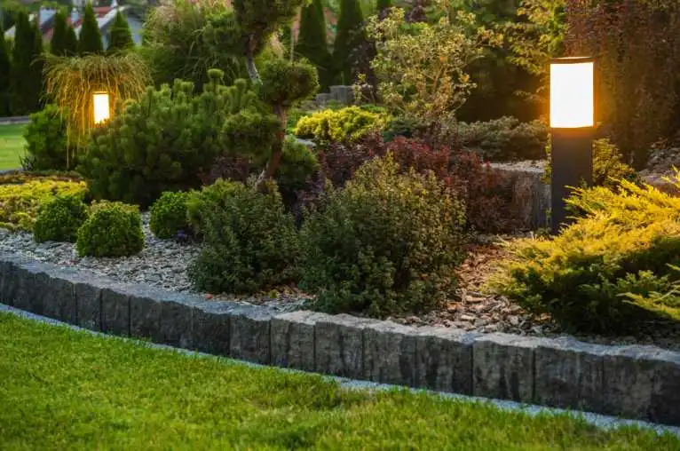 Gallery image 3 — organic lawn treatment Fort Lauderdale