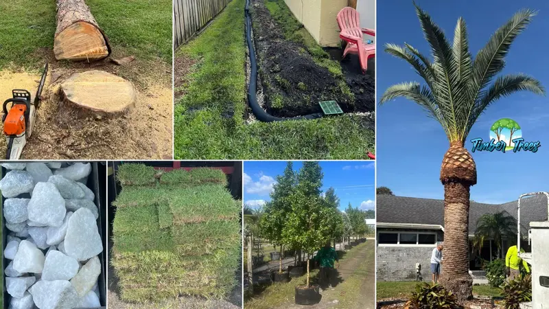 organic lawn treatment Fort Lauderdale