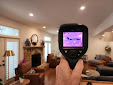 About toxic mold detection near me