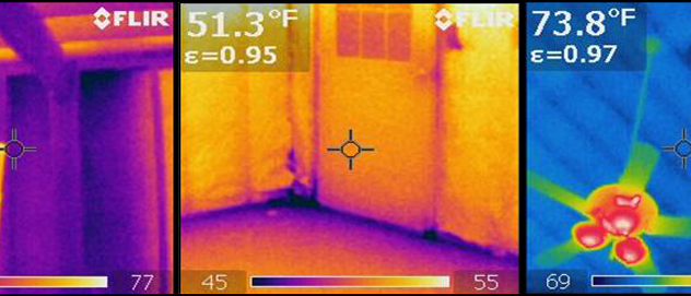Gallery image 3 — toxic mold detection near me
