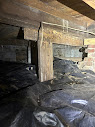 Gallery image 8 — mold detection Dunwoody