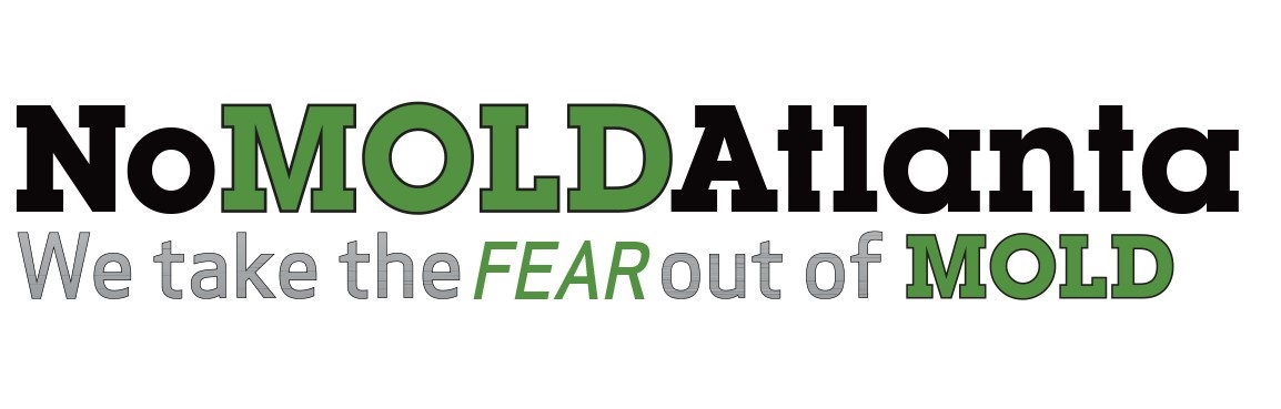 mold detection Dunwoody