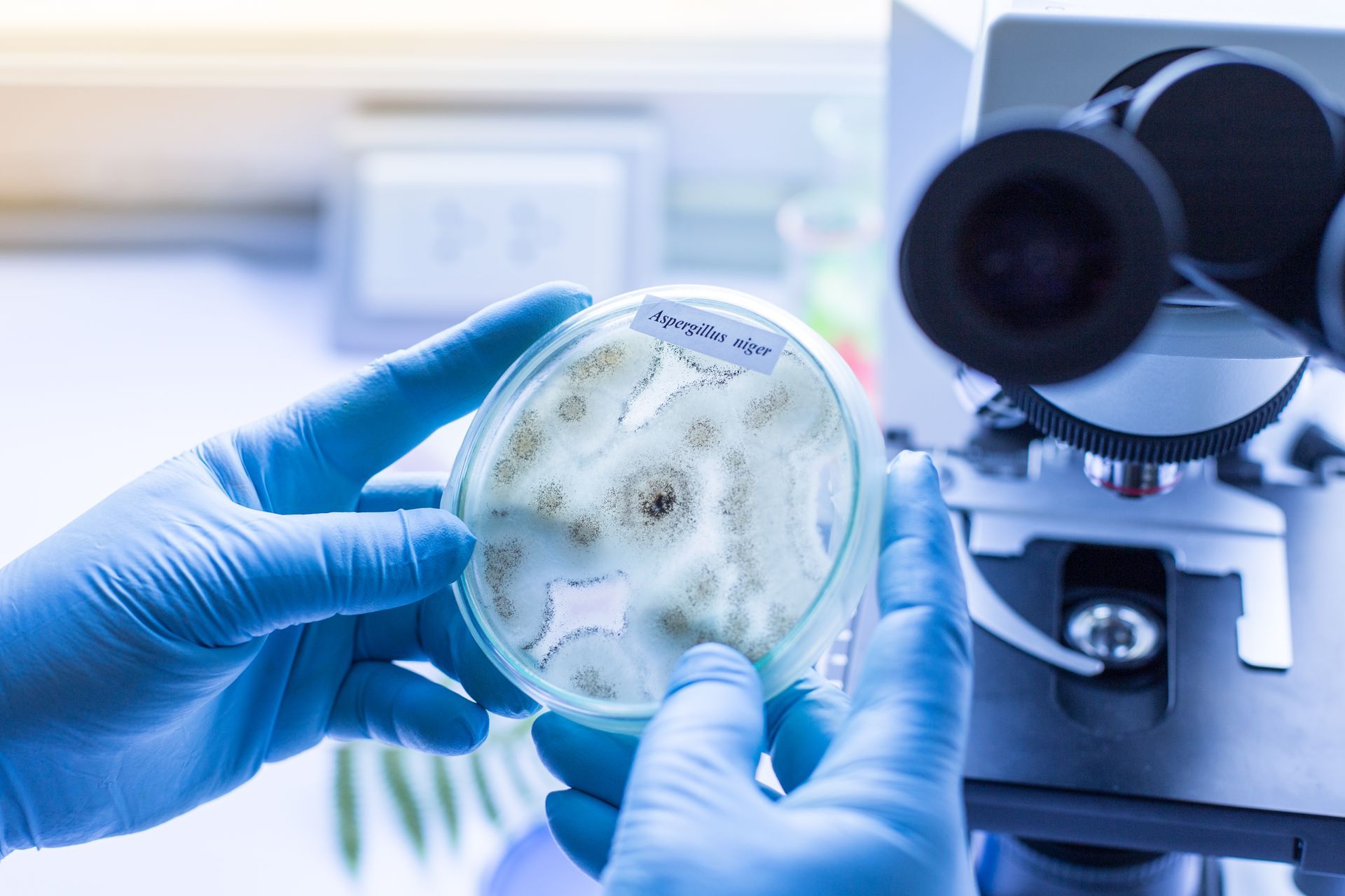 Gallery image 3 — asbestos testing lab in National