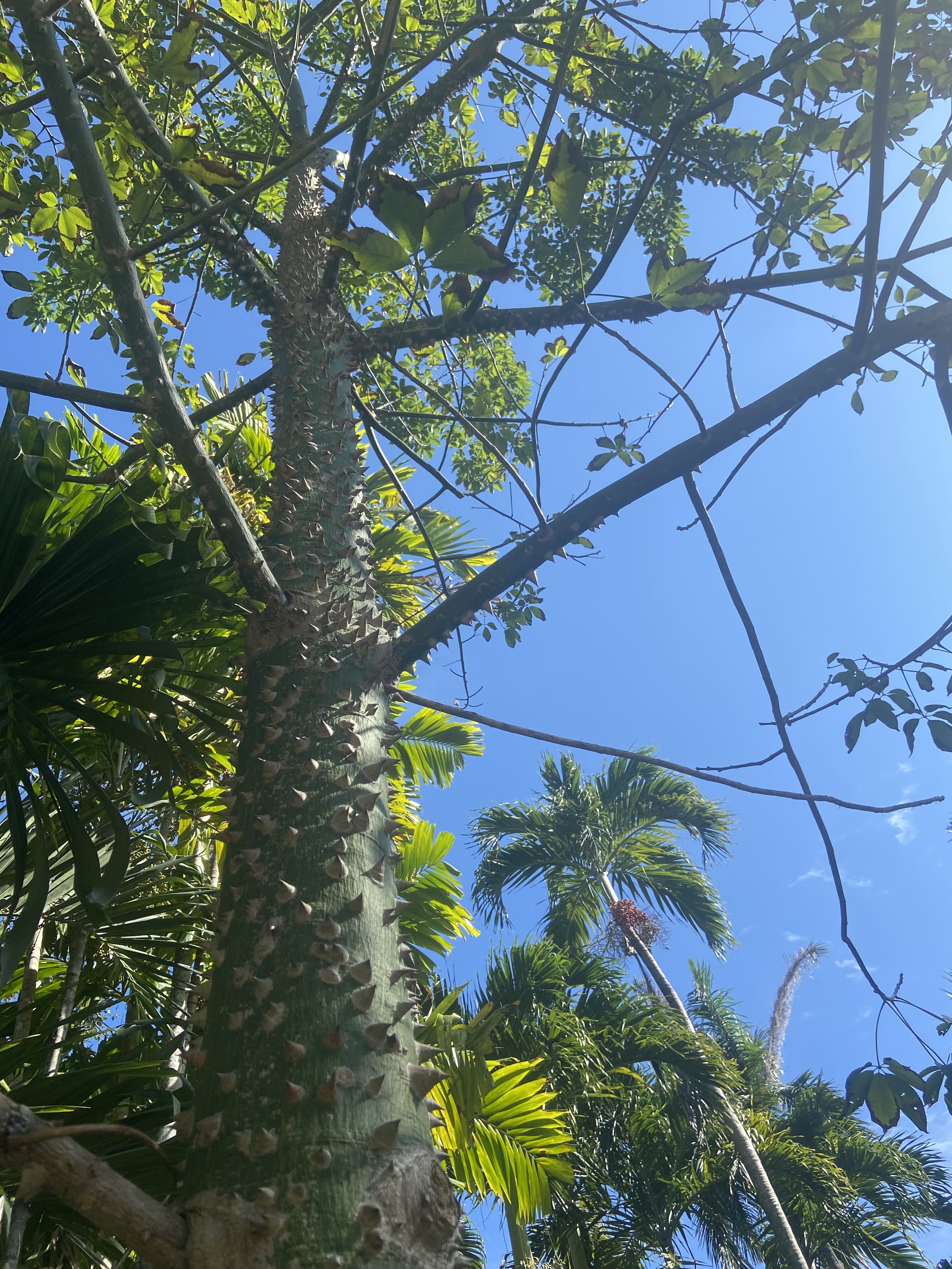 About landscape installation Pinecrest