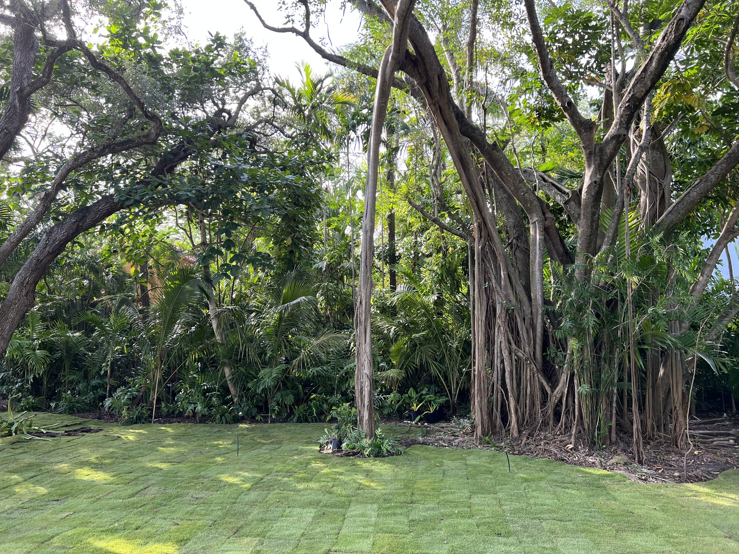 Gallery image 1 — landscape installation Pinecrest