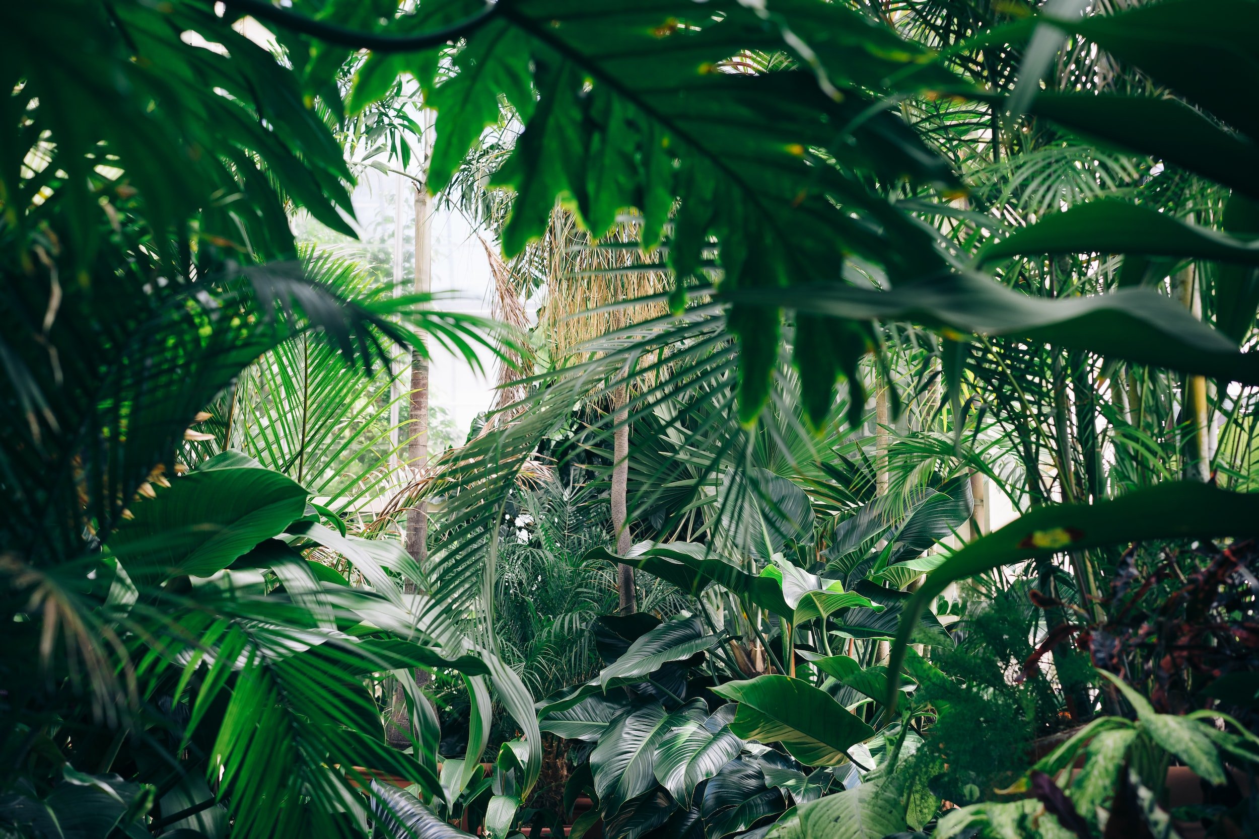 landscape installation Pinecrest